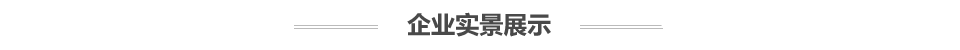 鄭州萊恩斯充氣城堡企業(yè)實景展示